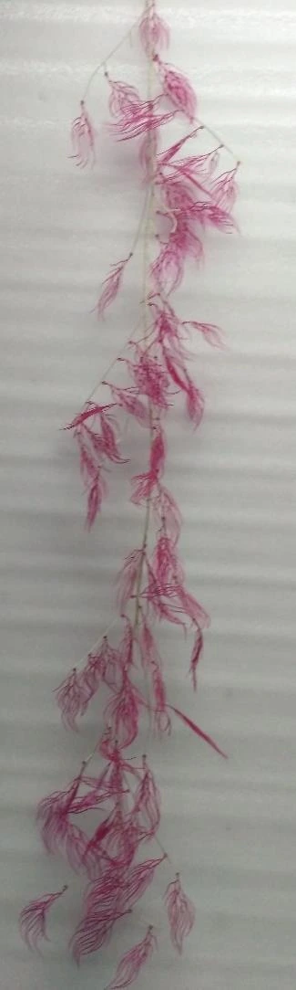 Peacock Soft Plastic Leaves Creeper 180cm